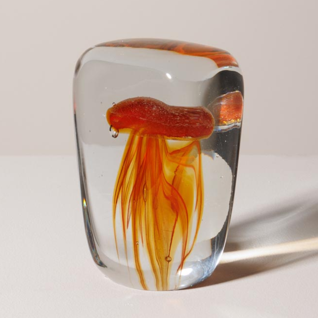 Glass Paperweight Jellyfish in 5 Colours