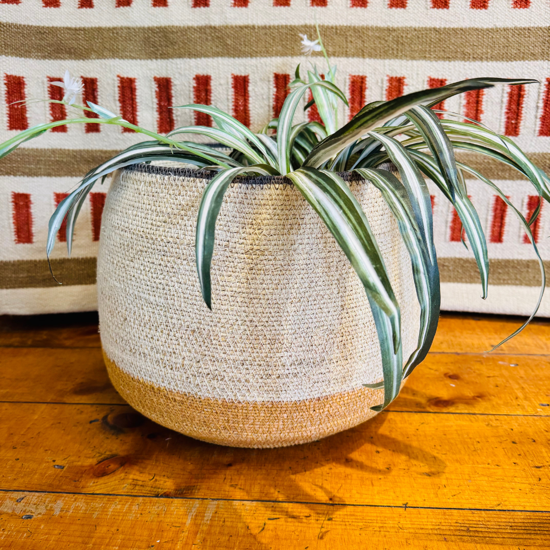 Seagrass Basket Trio 5209