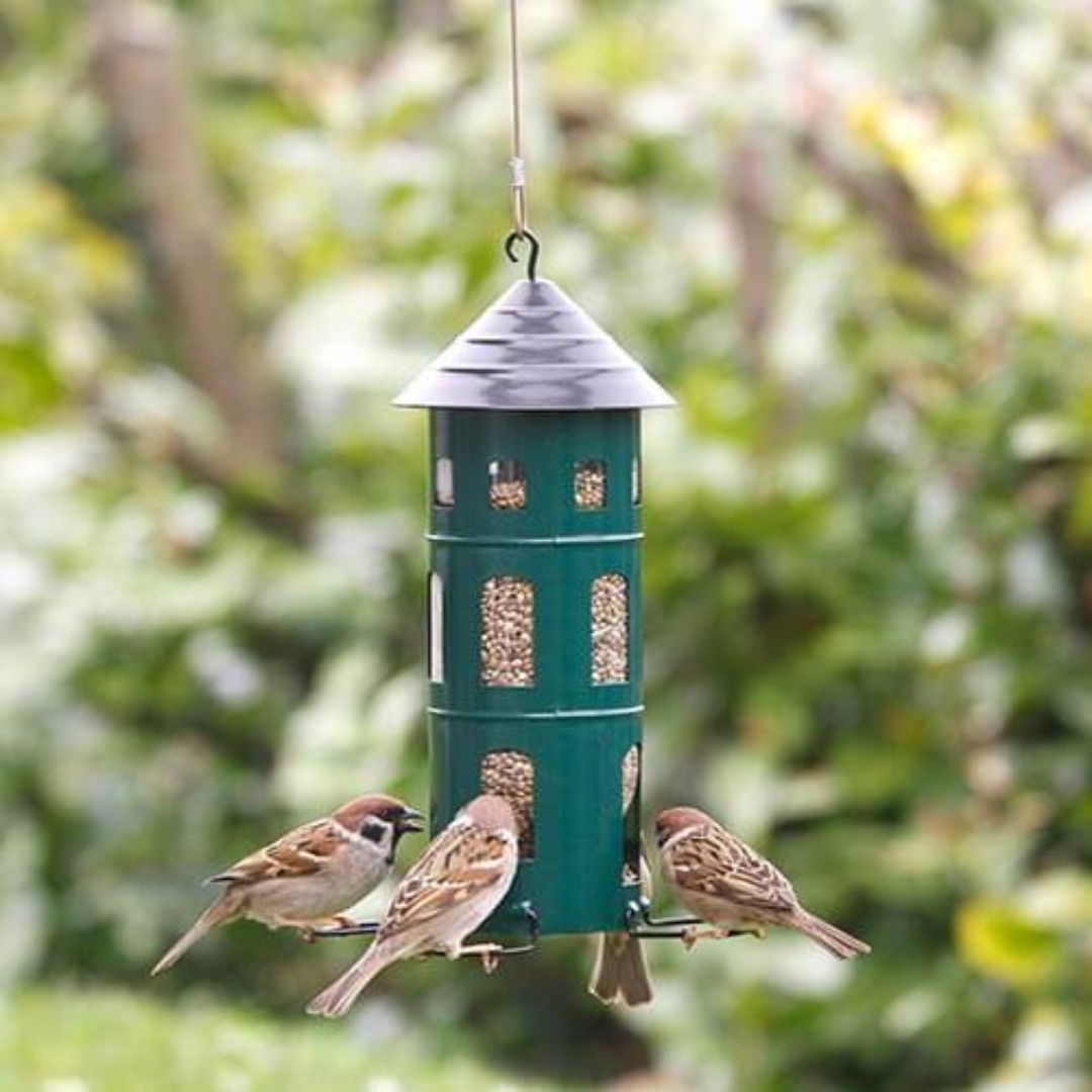 Hanging Bird Feeder in 2 Colours