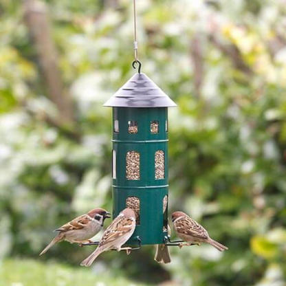 Hanging Bird Feeder in 2 Colours
