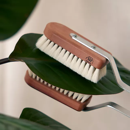 Indoor Plant Brush