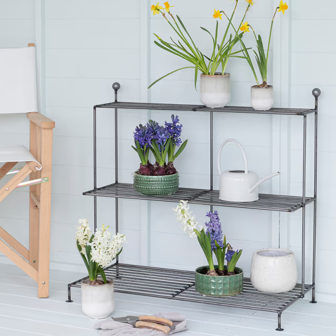 Metal Plant Stand