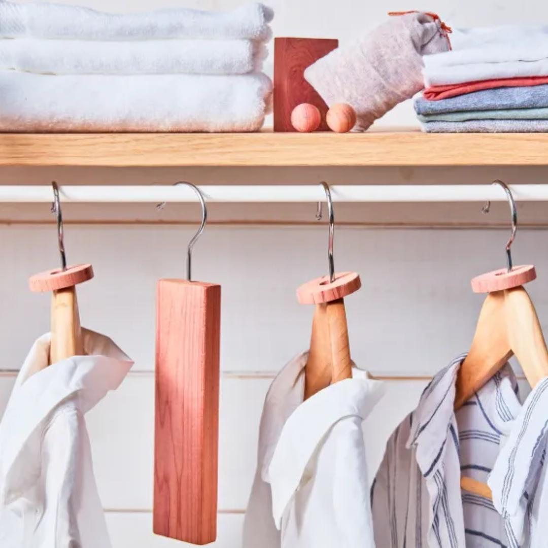 Set of Cedar Wood Moth Guard in 3 Sizes