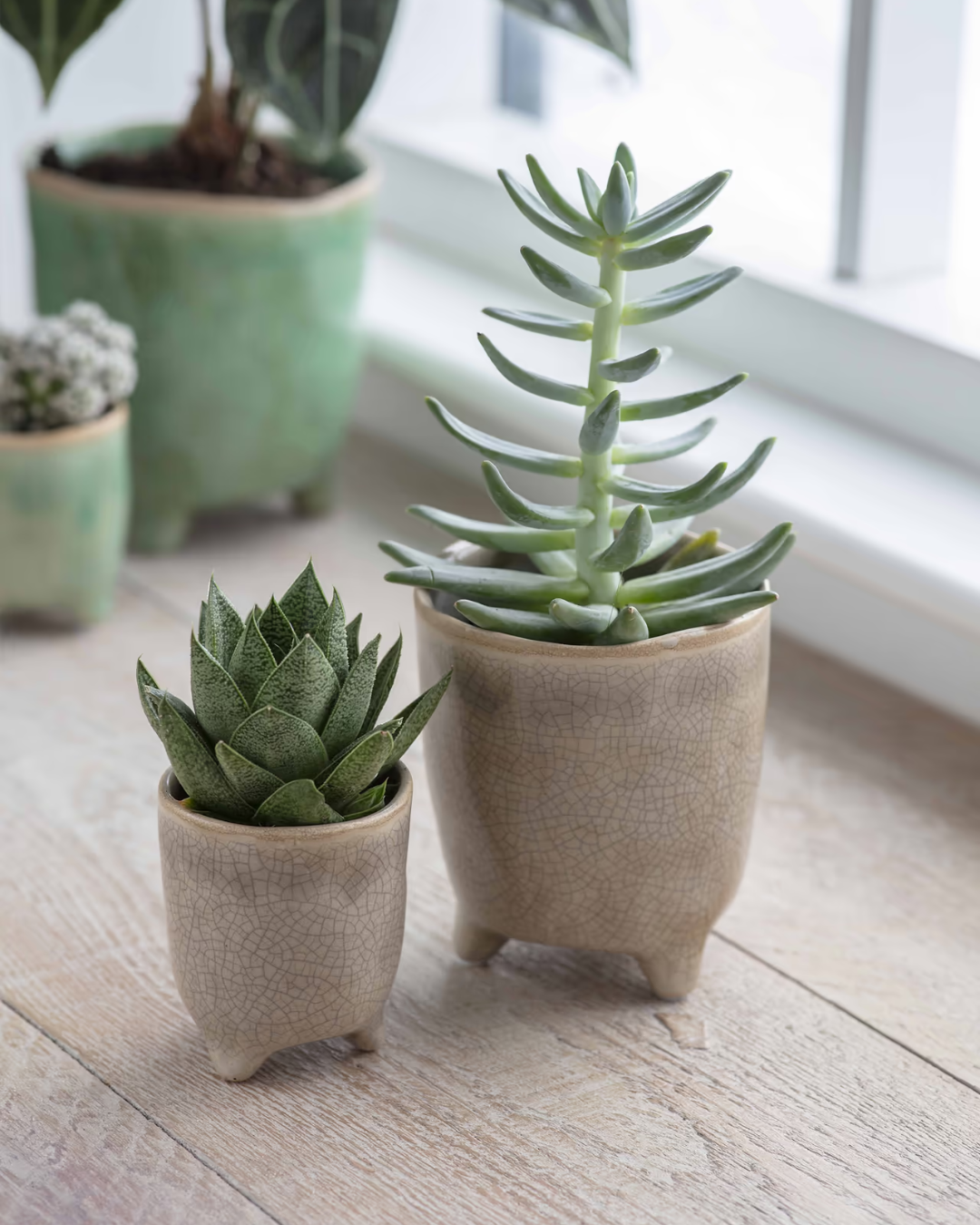 Stone Ceramic Plant Pot in 3 Sizes