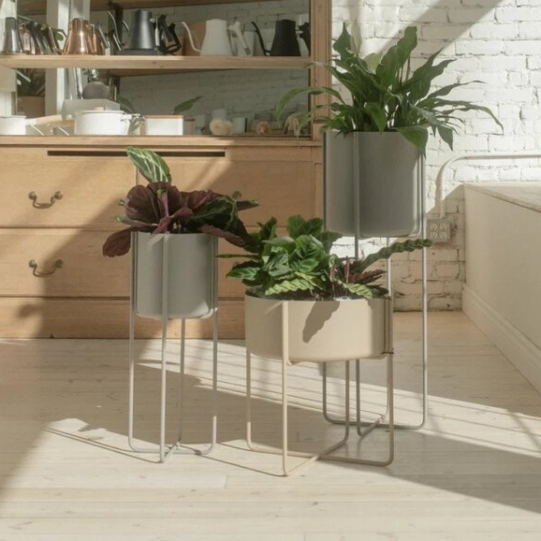 Grey Round Plant Stand in 2 Sizes