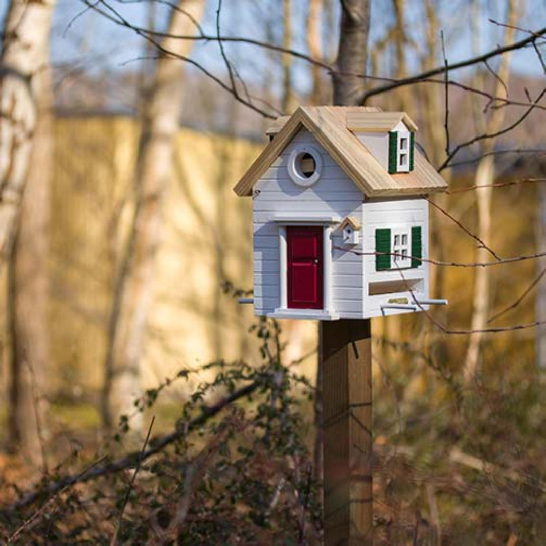 Two-Toned Dual Combo Bird Feeder & Nester in 3 Colours
