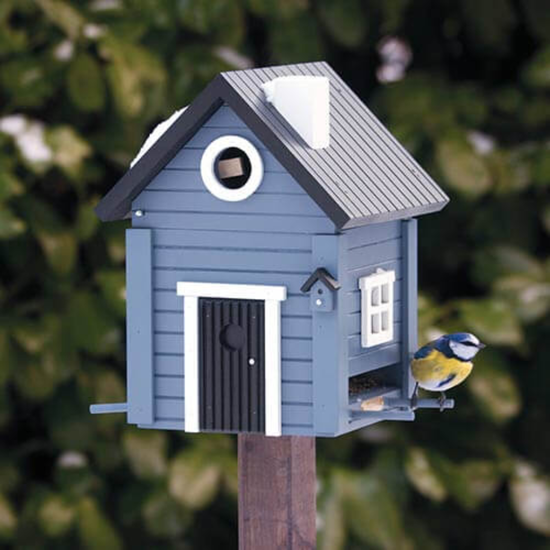Dual Combo Bird Feeder & Nester in 6 Solid Colours