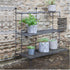 steel metal plant stand elegant garden display 