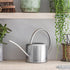 Indoor watering can for your house plants 