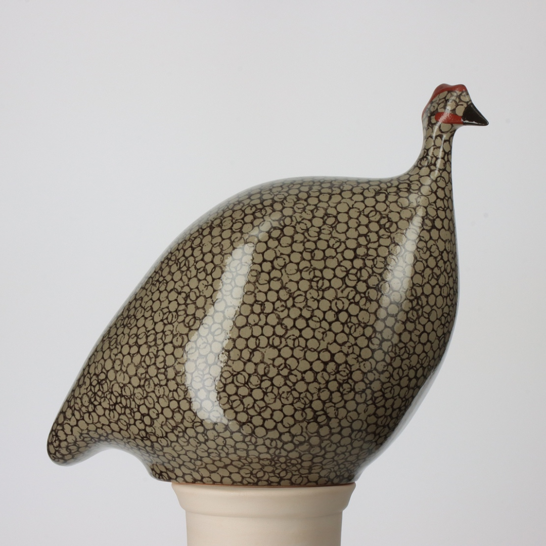 Grey Speckled Black Guinea Fowl