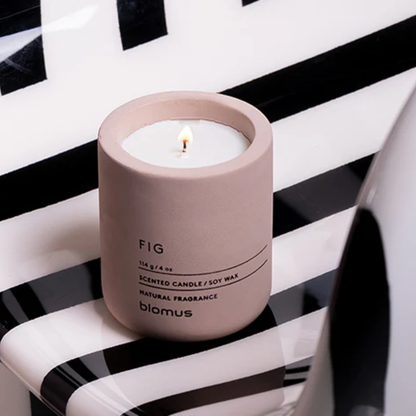 Fig Scented Candle in 2 Sizes