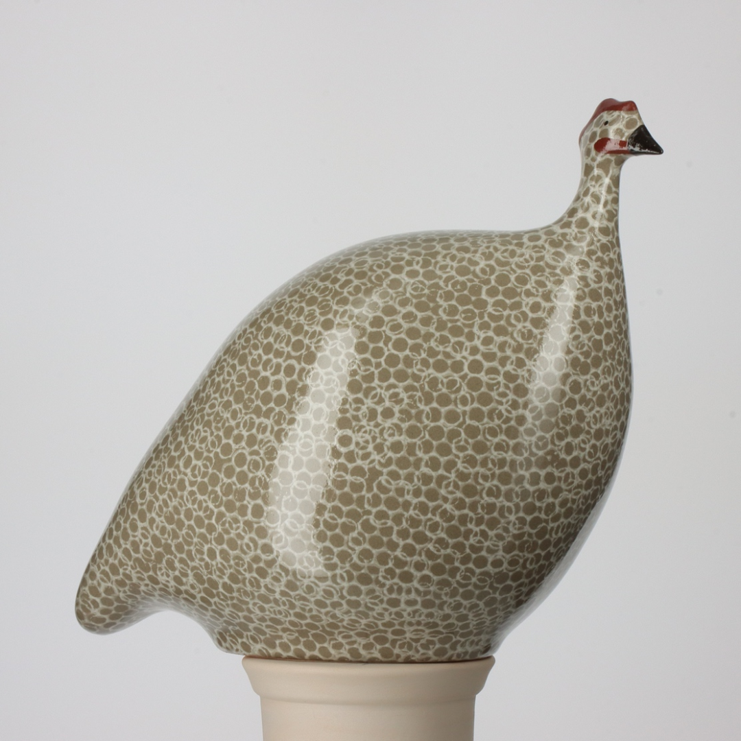 Grey Speckled White Guinea Fowl