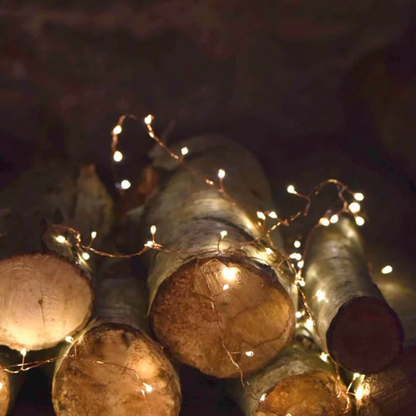 Copper Cluster Light String