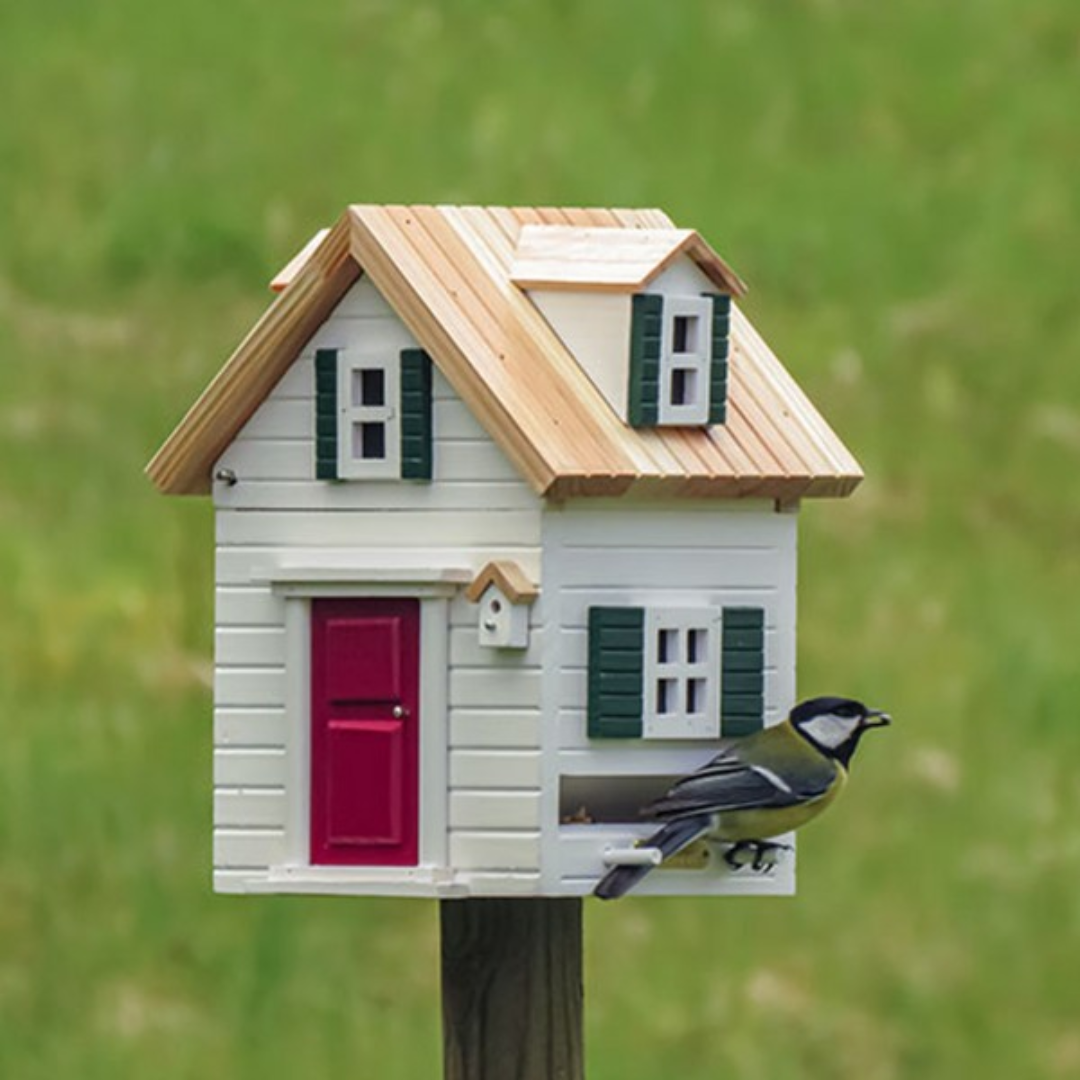 Two-Toned Dual Combo Bird Feeder & Nester in 3 Colours