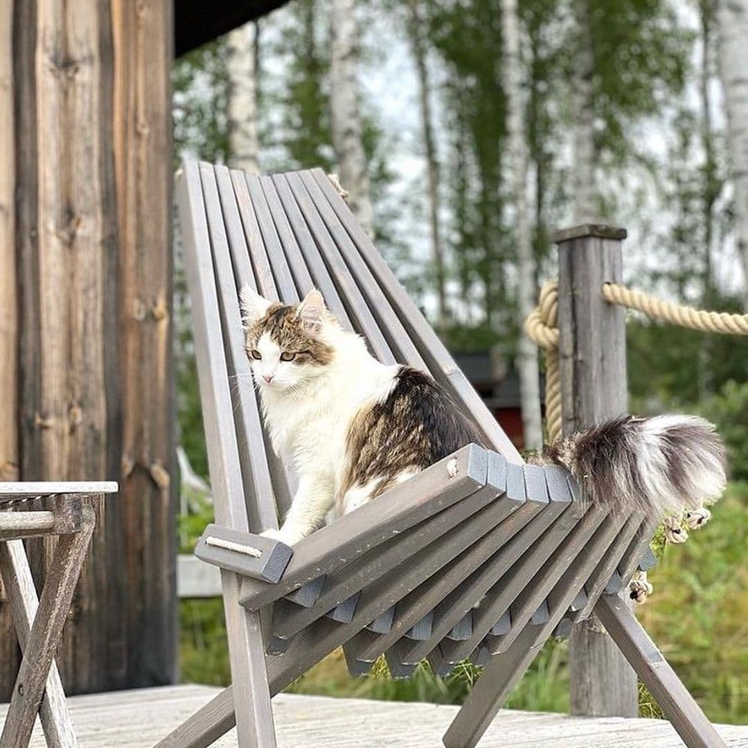 Pine Eco Chair and Matching Footstool