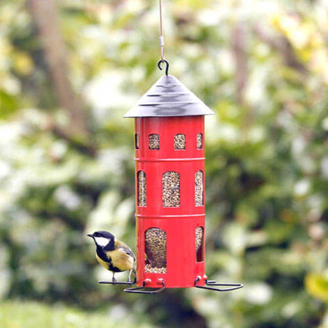 Hanging Bird Feeder in 2 Colours