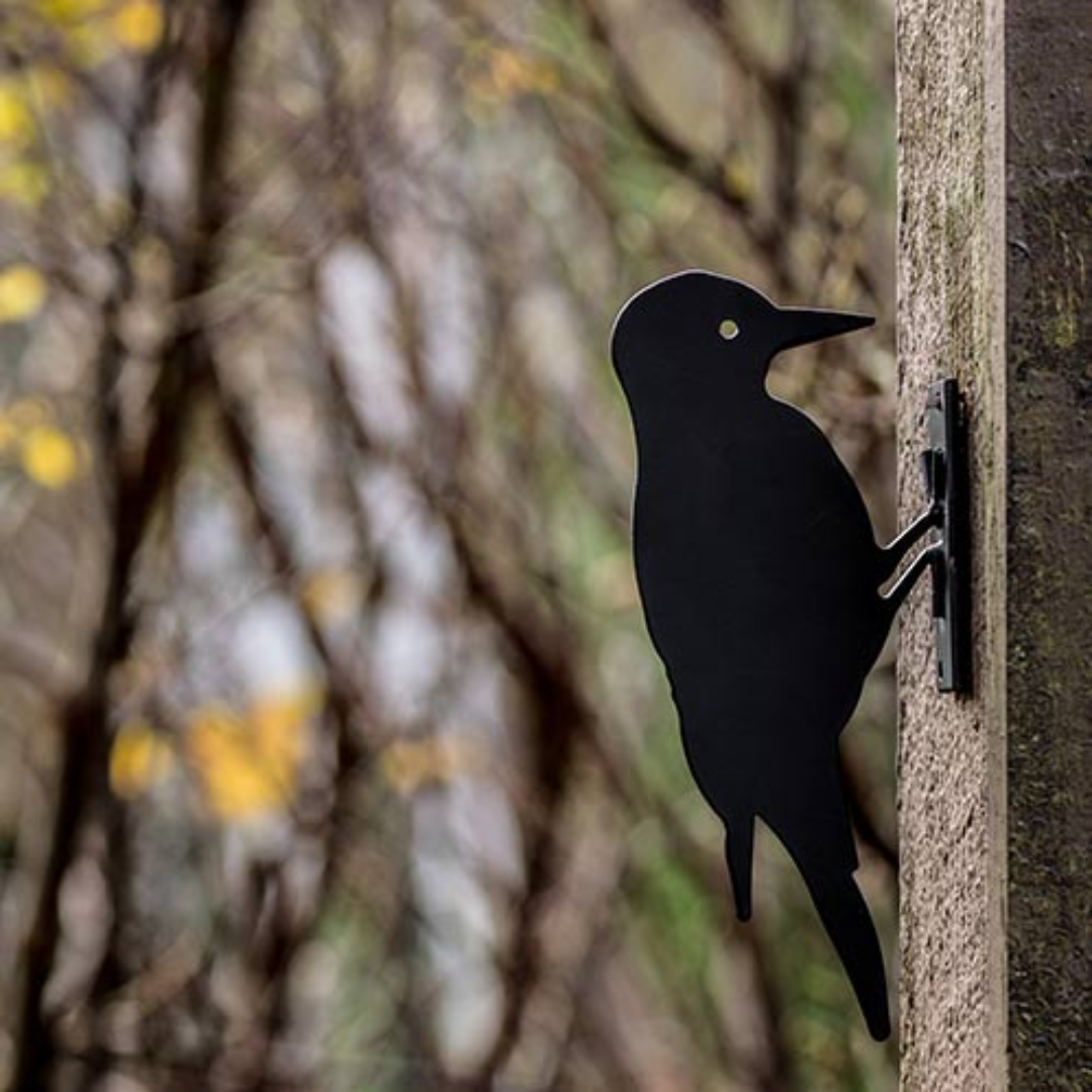 Medium Bird Silhouette in 2 Designs