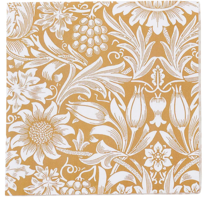 20 Paper Napkins in 5 Designs