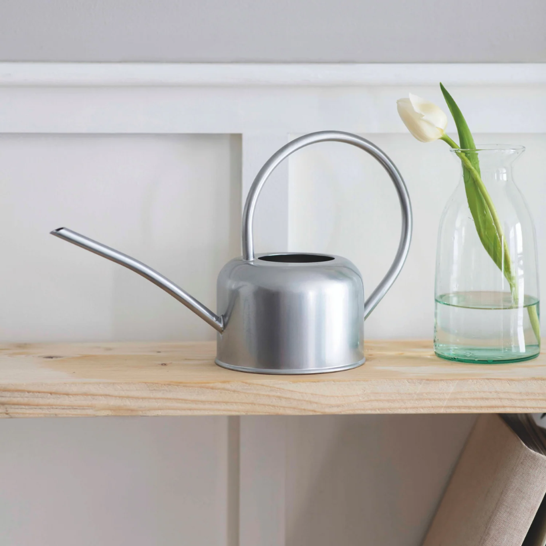 Steel Watering Can in 2 Sizes