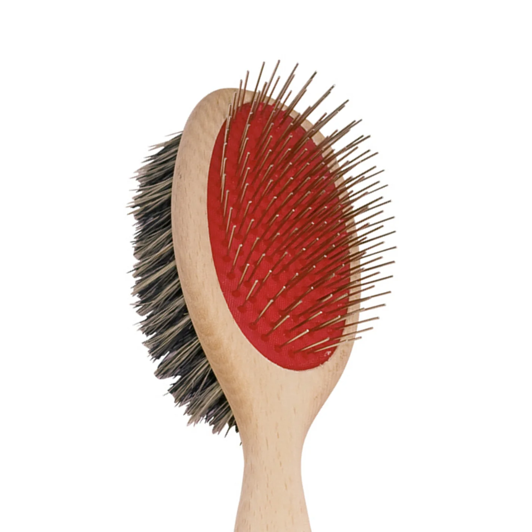 Dog Brush