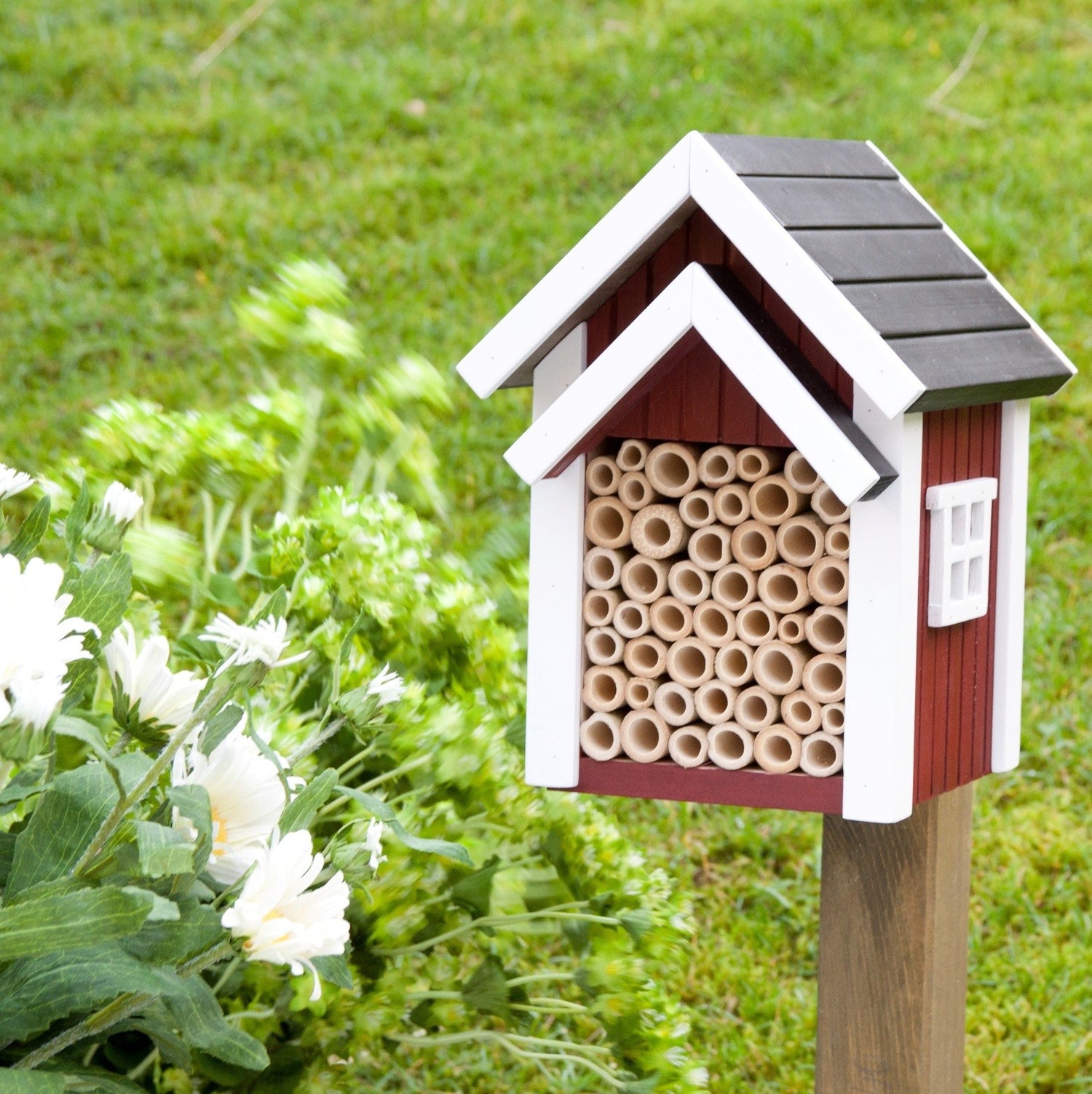 Solo Bee House