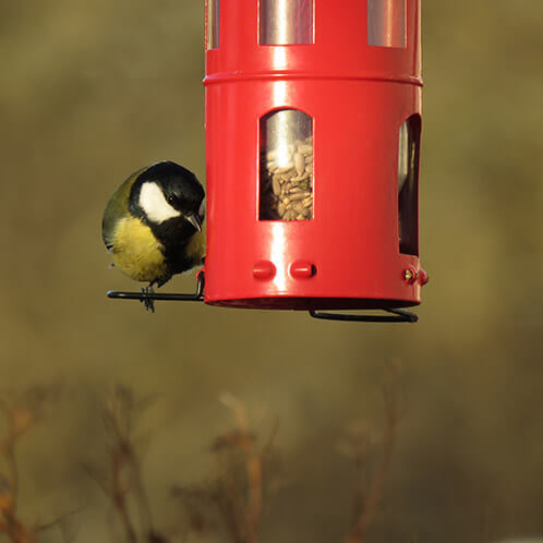 Hanging Bird Feeder in 2 Colours