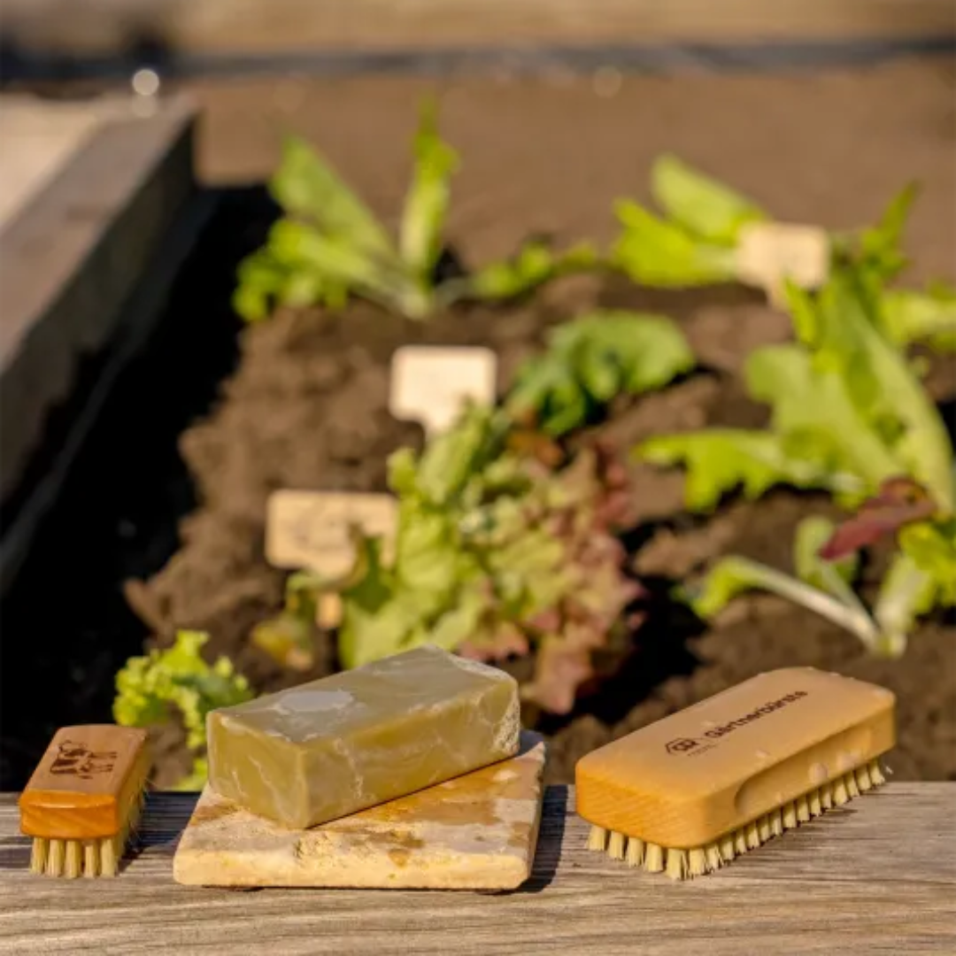 Gardeners Nail Brush