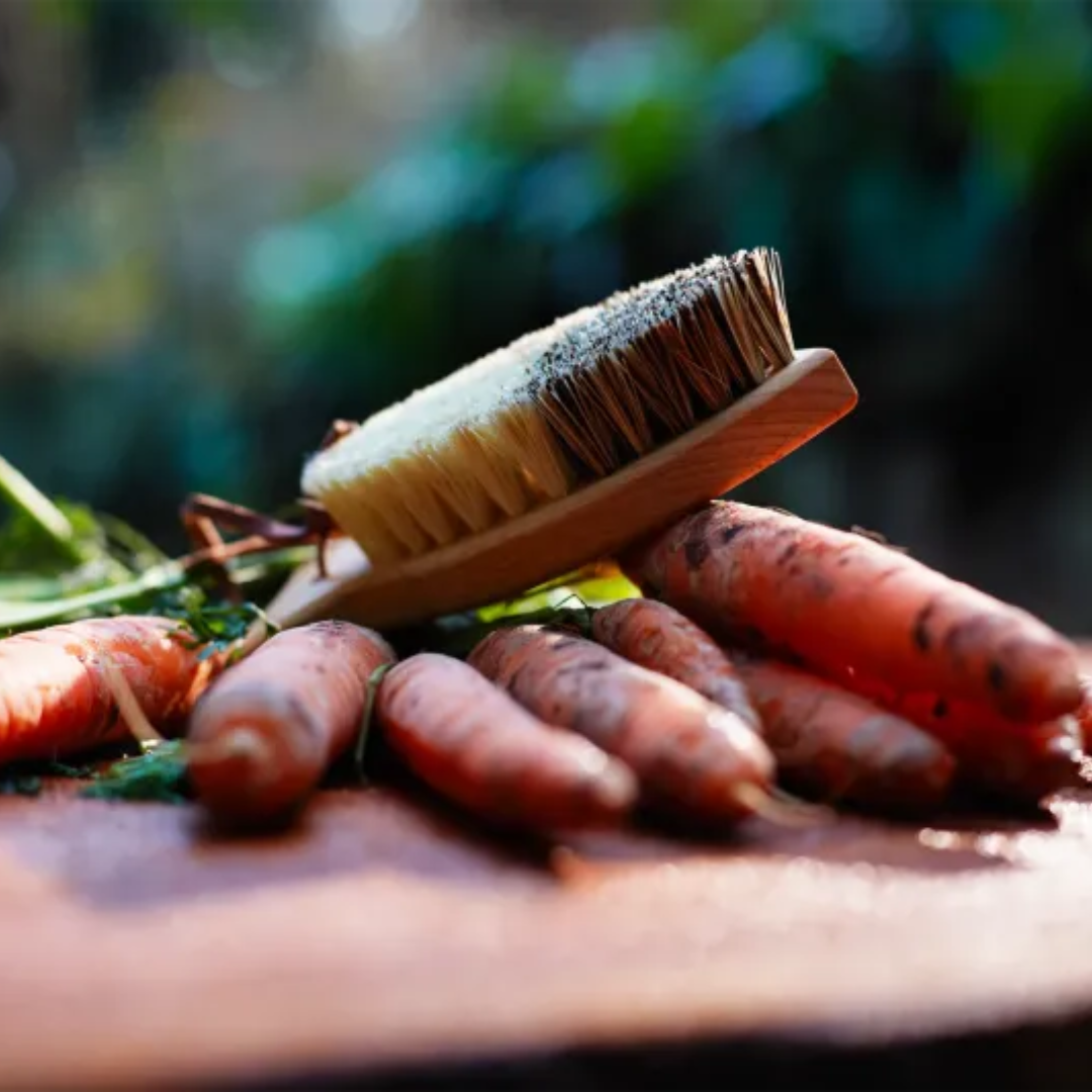 Vegetable Brush
