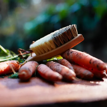 Vegetable Brush