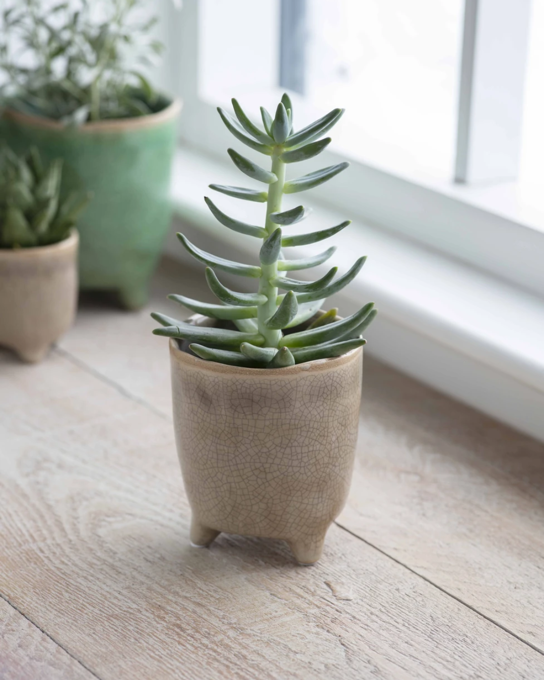 Stone Ceramic Plant Pot in 3 Sizes