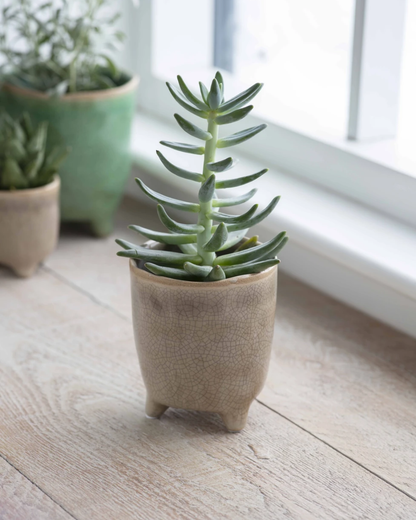 Stone Ceramic Plant Pot in 3 Sizes
