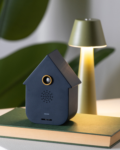 Modern Cuckoo Sound Box in 4 Colours
