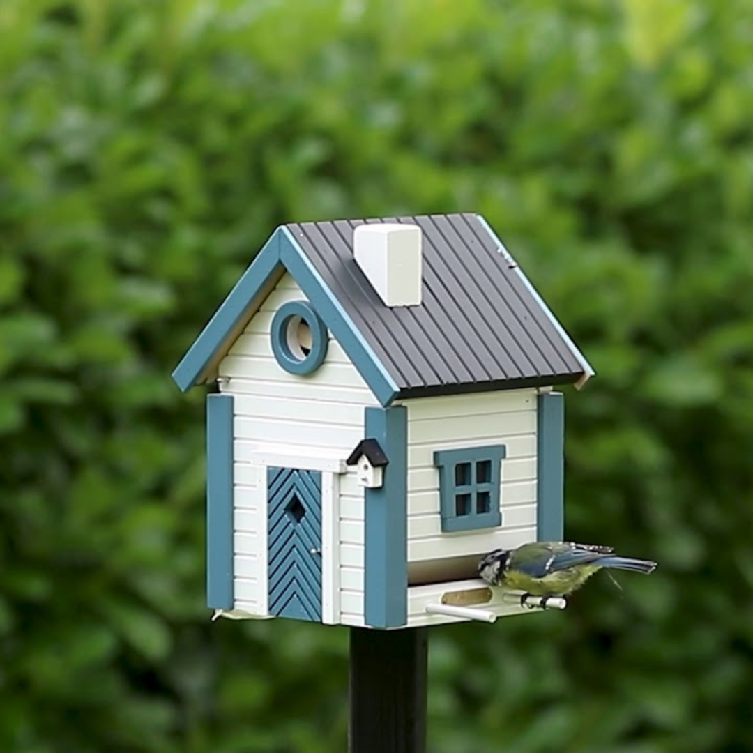 Two-Toned Dual Combo Bird Feeder &amp; Nester in 3 Colours