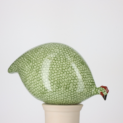 Anis Speckled Green Guinea Fowl