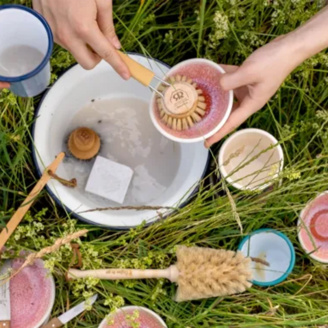 Round Dish Brush Set with Handle