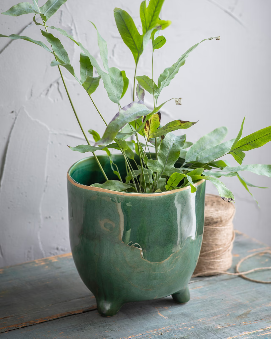 Forest Green Ceramic Plant Pot in 2 Sizes