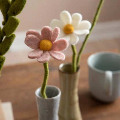 Anemone Flower in 3 Colours