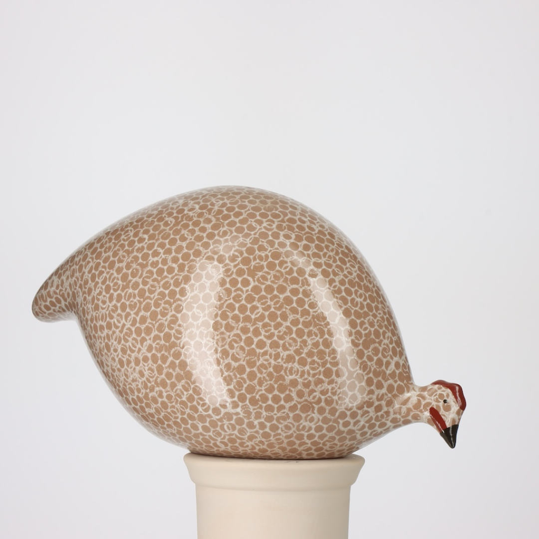 Brown Speckled White Guinea Fowl