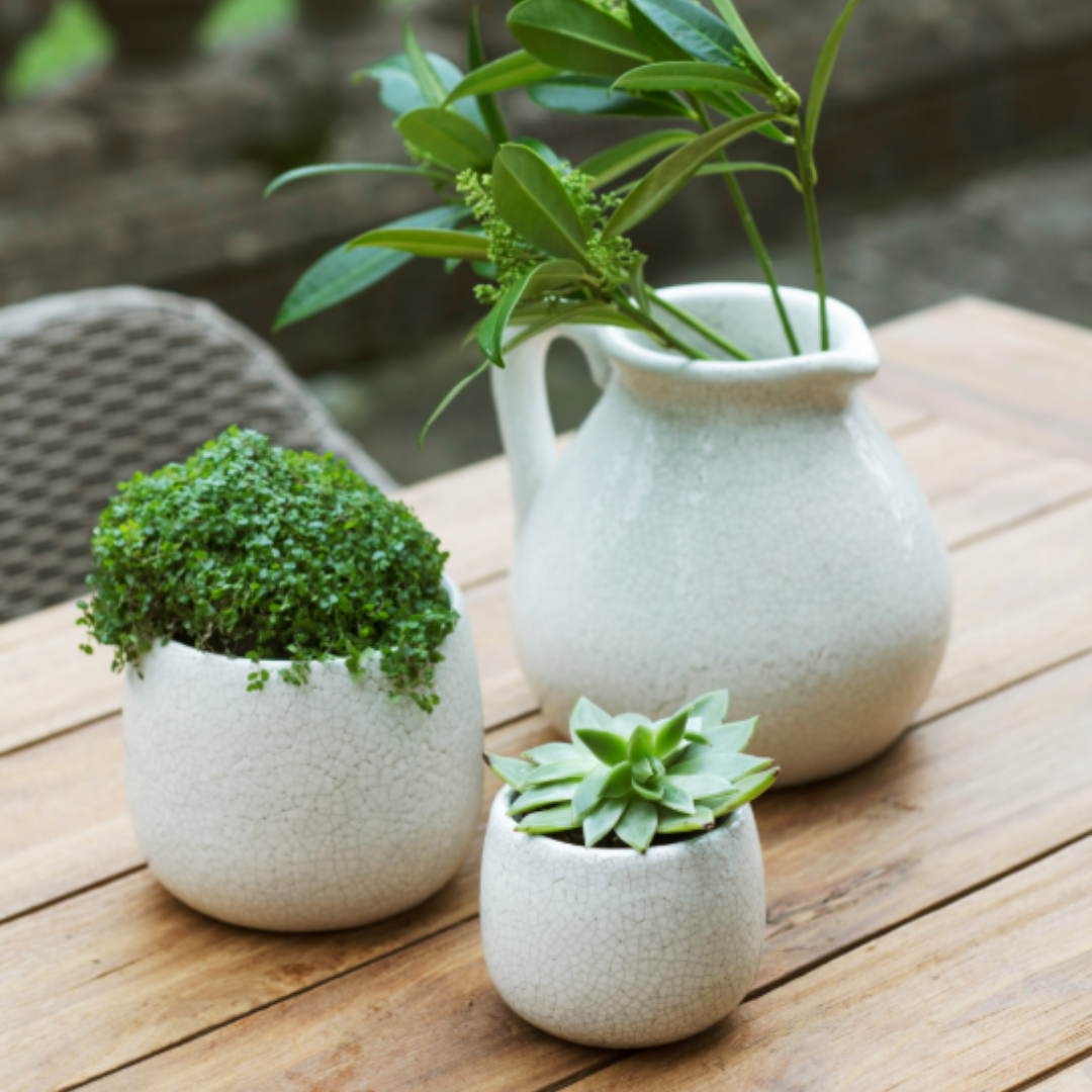 White Ceramic Flower Jug