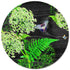 Placemat Round Black Dill