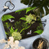 Rectangular Dill Black Birch Tray
