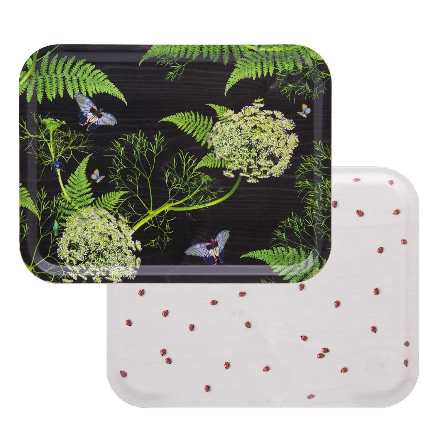 rectangular dill black background birch tray with lady birds on the back