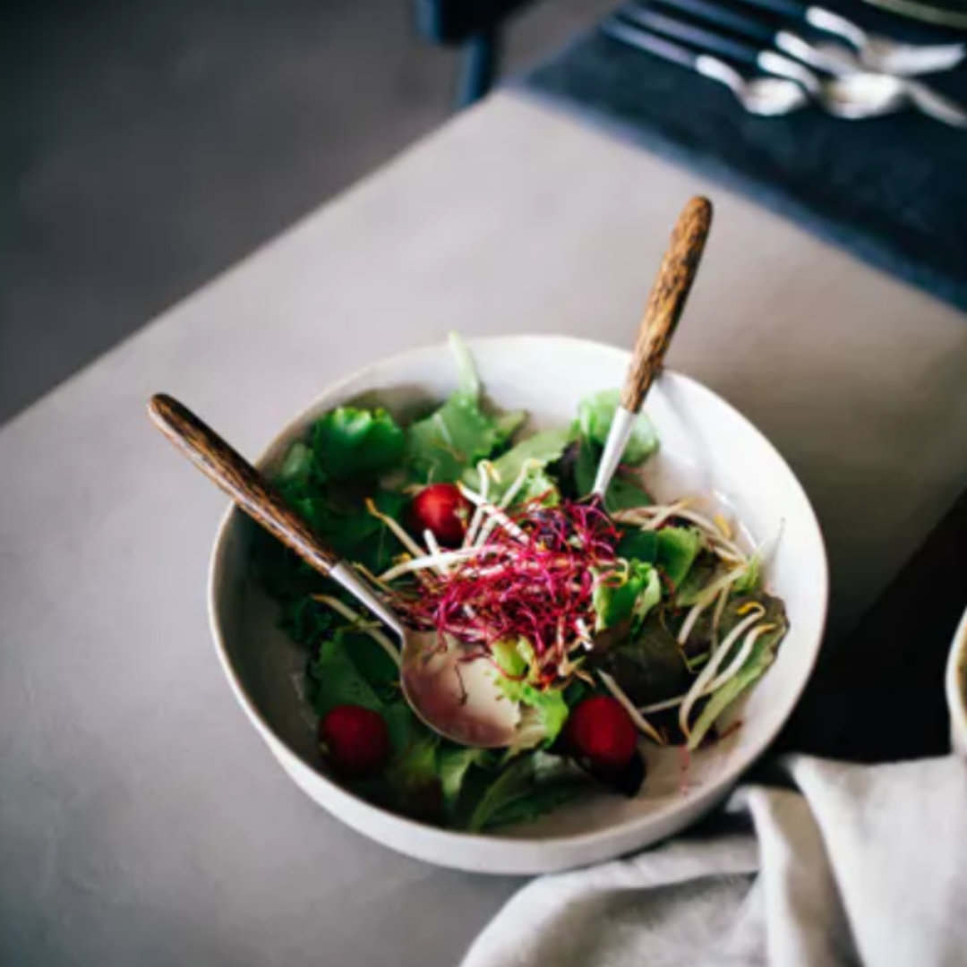 Sea Shell Ceramic Dinner Set