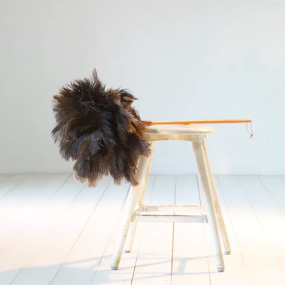 Ostrich Feather Duster in 4 Sizes