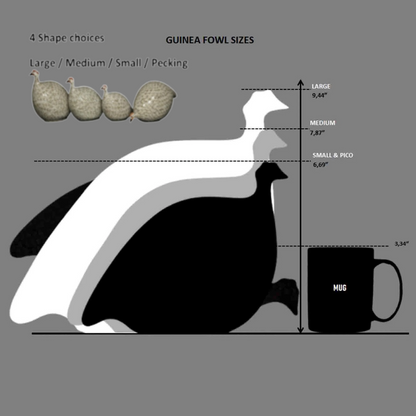 Brown Speckled White Guinea Fowl