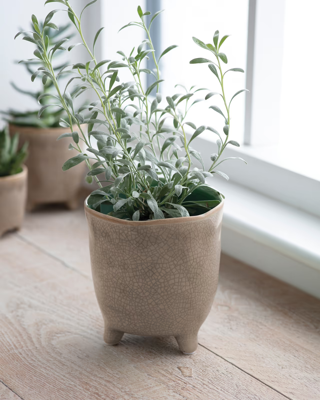 Stone Ceramic Plant Pot in 3 Sizes
