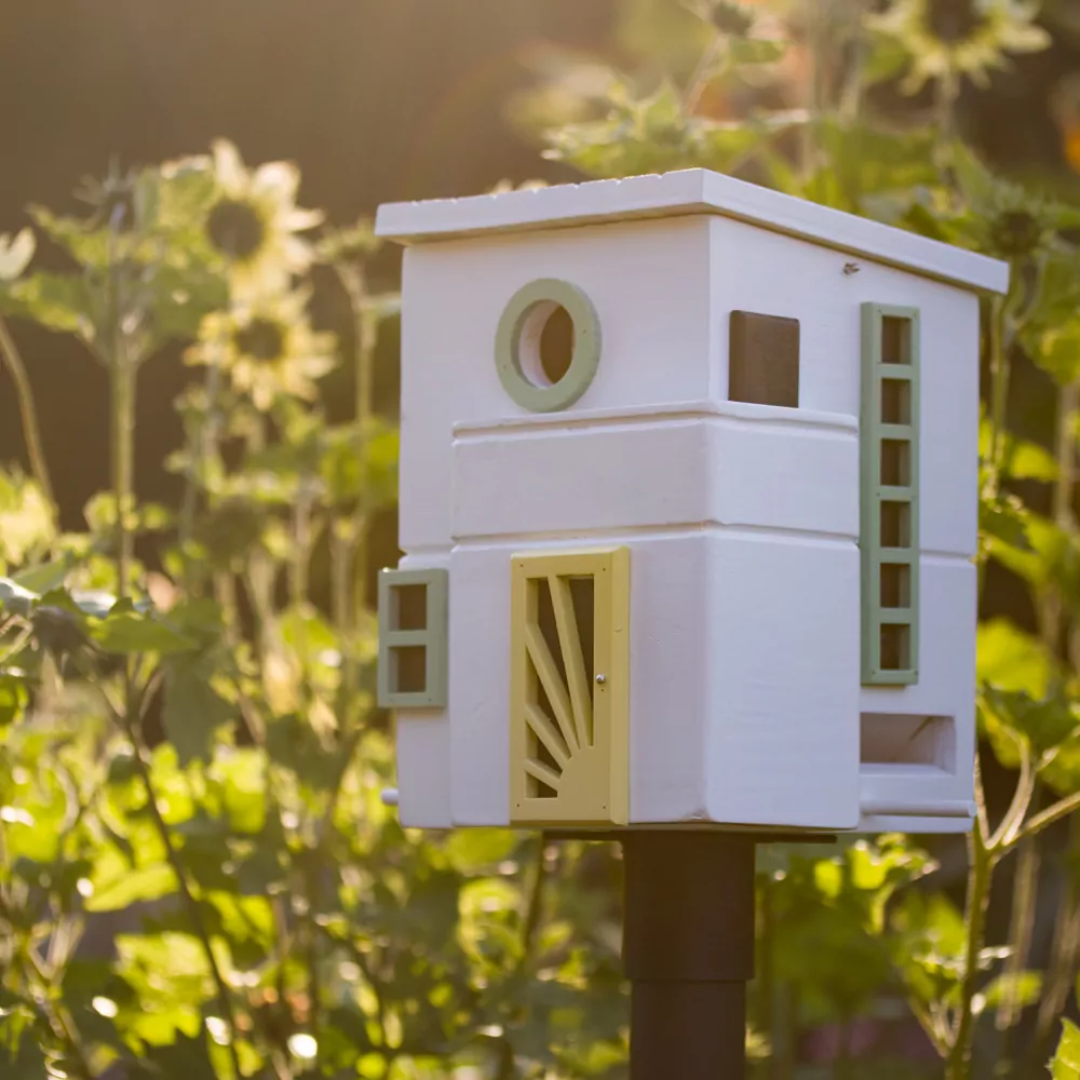 Flat Roof Dual Combo Bird Feeder &amp; Nester in 2 Colours