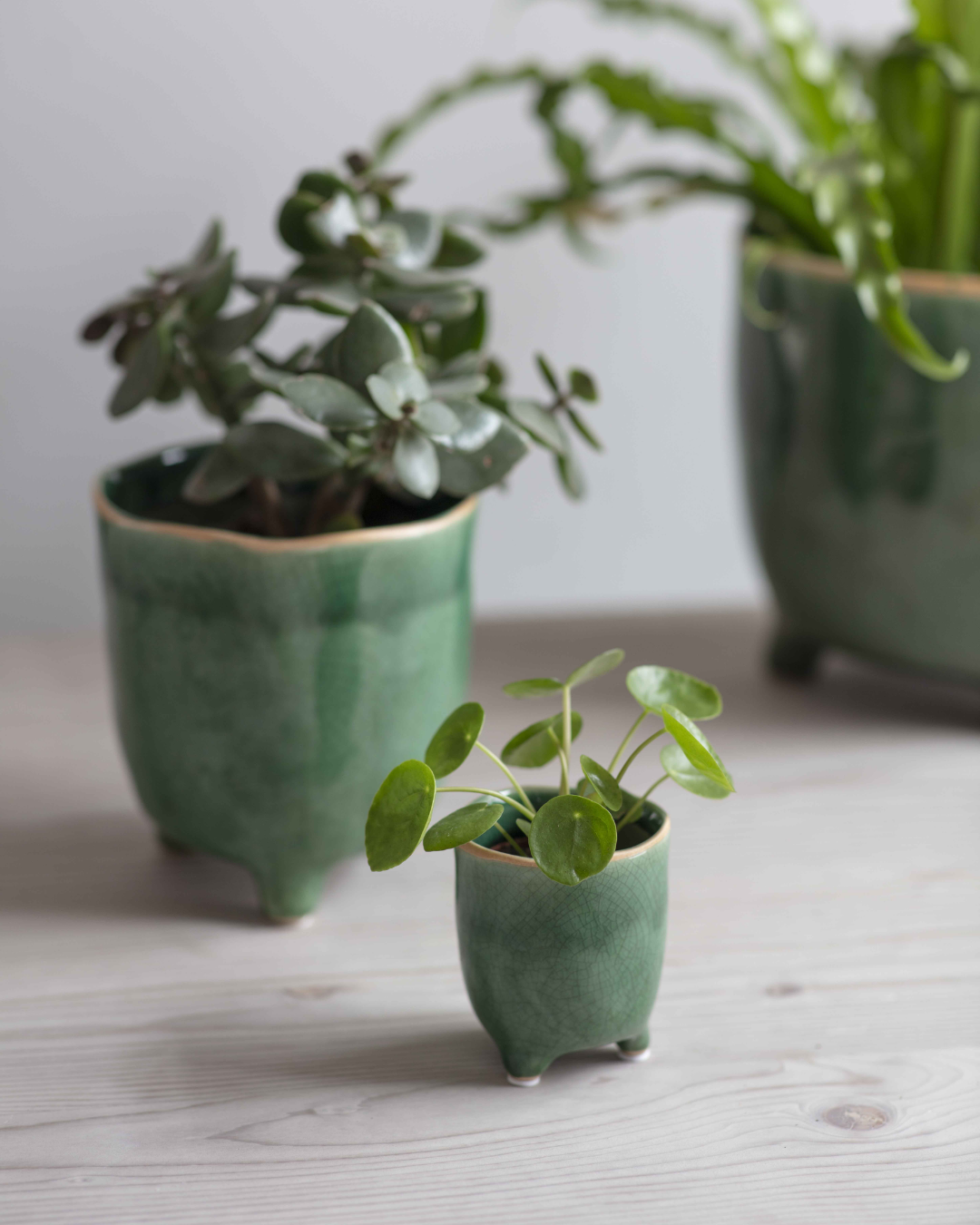 Forest Green Ceramic Plant Pot in 2 Sizes