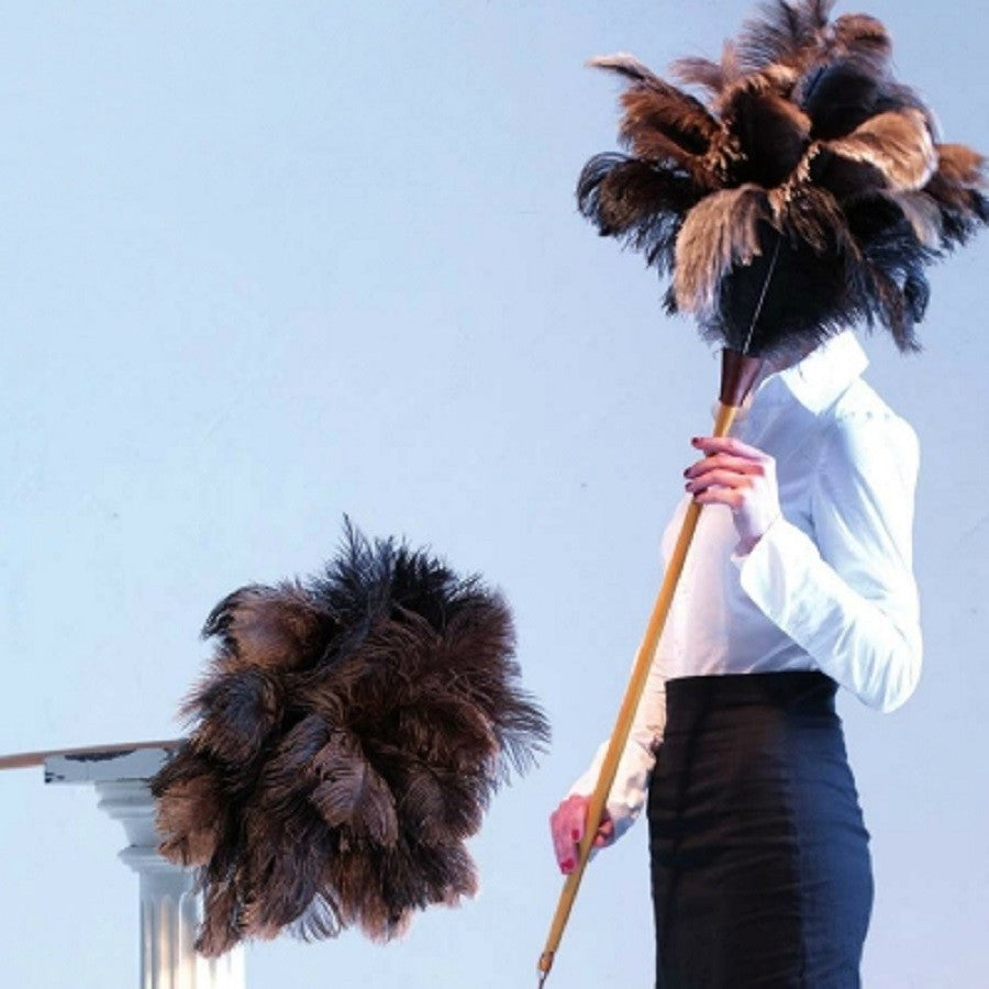 Long Ostrich Feather Duster