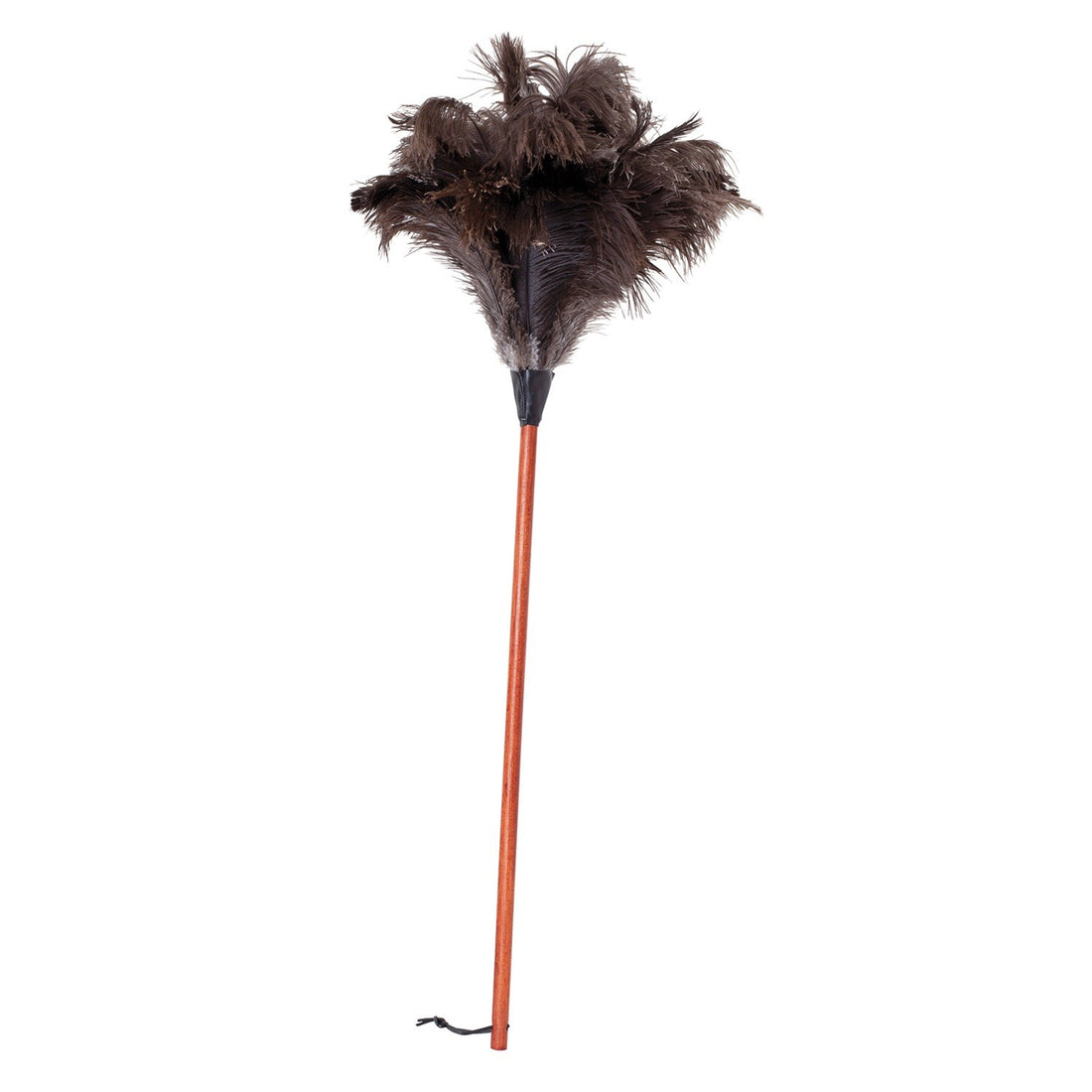 Long Ostrich Feather Duster